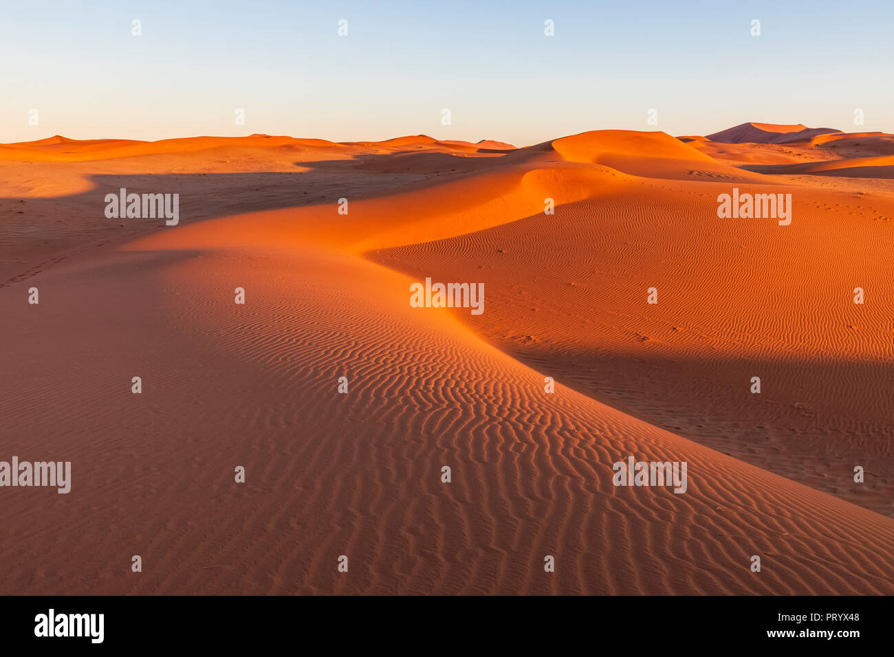 In Africa, la Namibia, il deserto del Namib Naukluft, Parco Nazionale, dune di sabbia nella luce del mattino al sorgere del sole Foto Stock