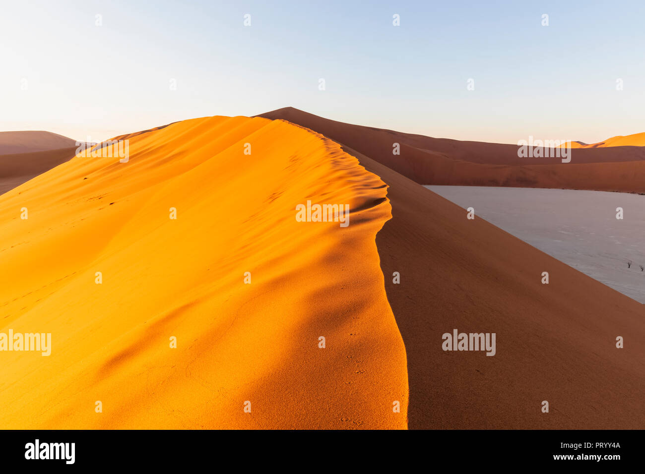 In Africa, la Namibia, il deserto del Namib Naukluft, Parco Nazionale, Deadvlei e dune di sabbia nella luce del mattino Foto Stock