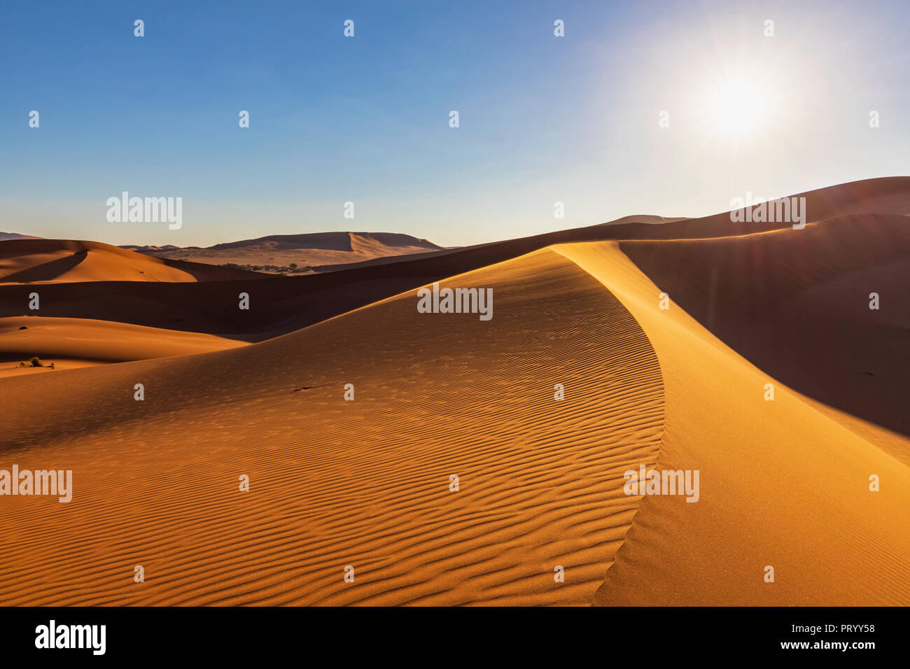 In Africa, la Namibia, il deserto del Namib Naukluft, Parco Nazionale, dune di sabbia contro il sole Foto Stock