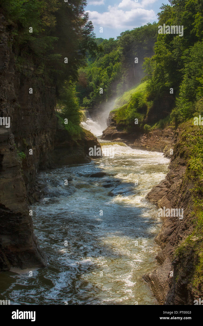 Una cascata fotografati con una lenta velocità otturatore a Letchworth parco dello Stato nello Stato di New York in estate. Foto Stock