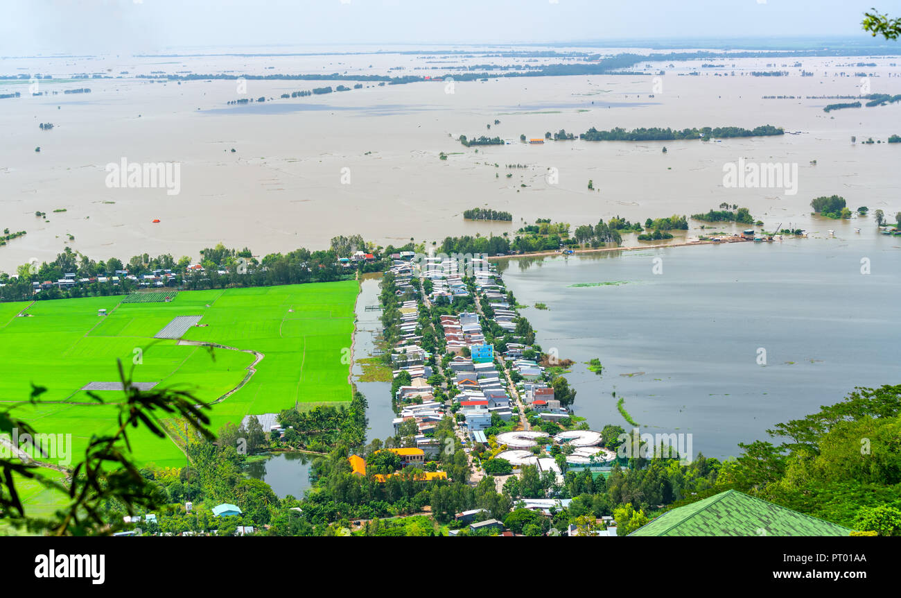 Verdi campi di riso in Vietnam rurale nel diluvio stagione salire dalla bella vista. Foto Stock