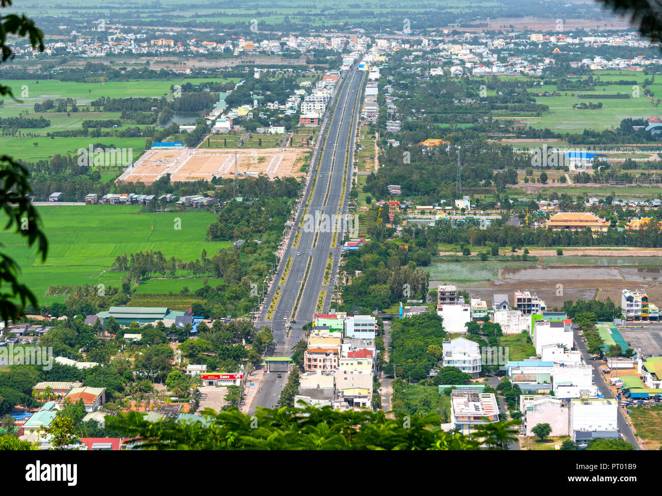 Verdi campi di riso in Vietnam rurale nel diluvio stagione salire dalla bella vista. Foto Stock