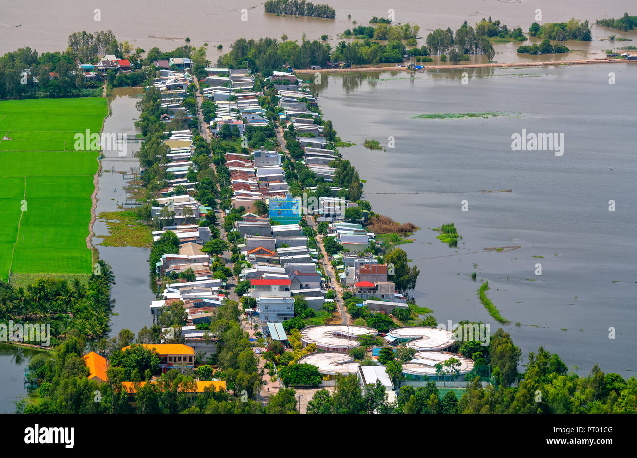 Verdi campi di riso in Vietnam rurale nel diluvio stagione salire dalla bella vista. Foto Stock