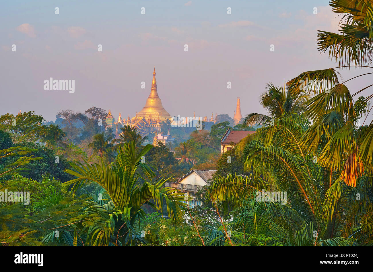 La stupa dorato di Shwedagon Zedi Daw tempio di luce foschia mattutina dietro la lussureggiante vegetazione del giardino, Yangon, Myanmar. Foto Stock