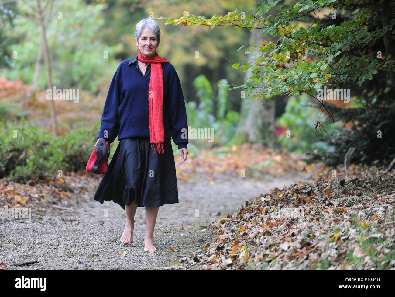Cantante americana, compositore e musicista Joan Baez, qui al "Chateau de Canisy" castello nel nord-ovest della Francia (2009/10/28) *** Caption locale *** Foto Stock