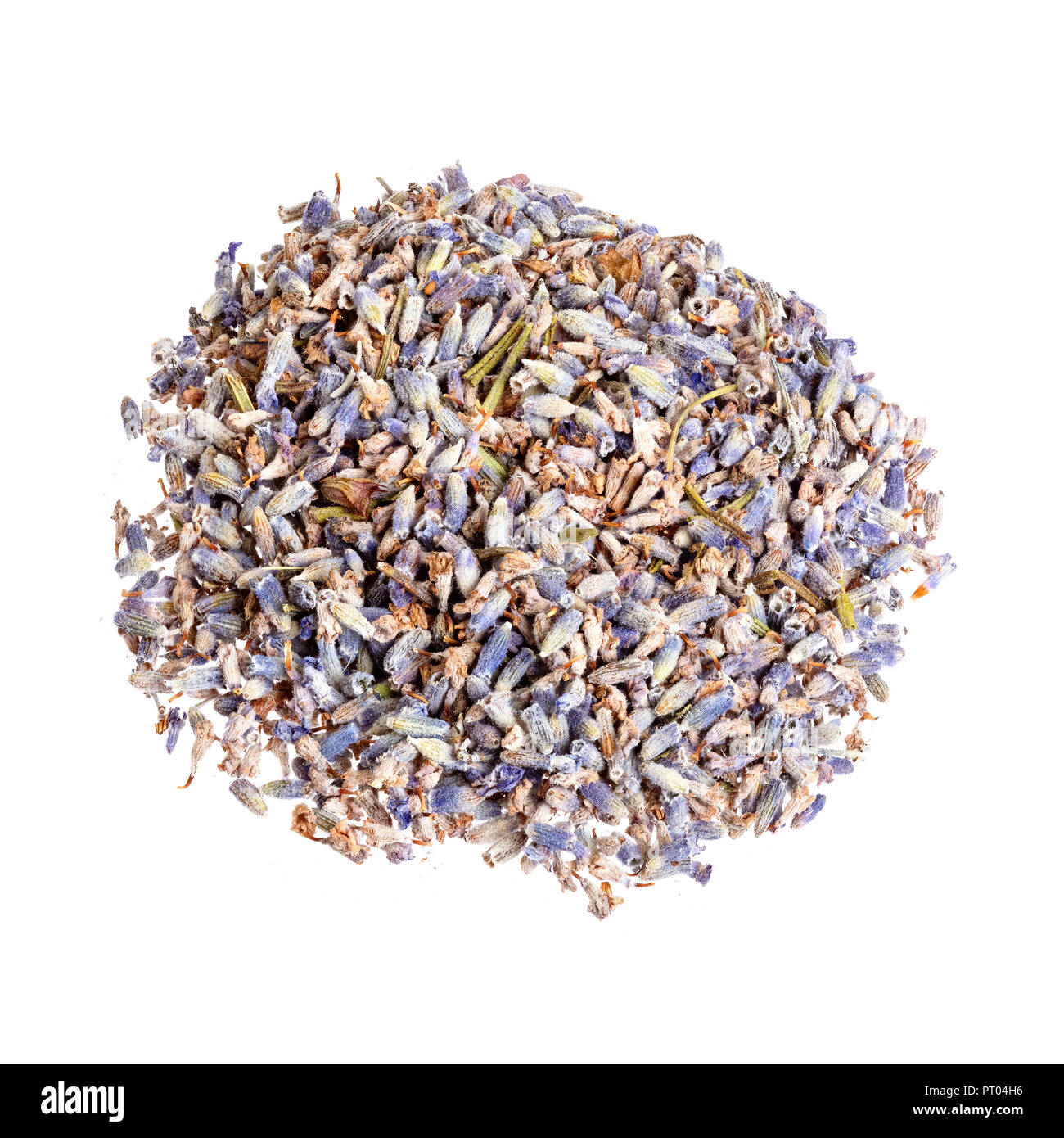 La lavanda a secco isolato su sfondo bianco isolato su bianco. Foto Stock