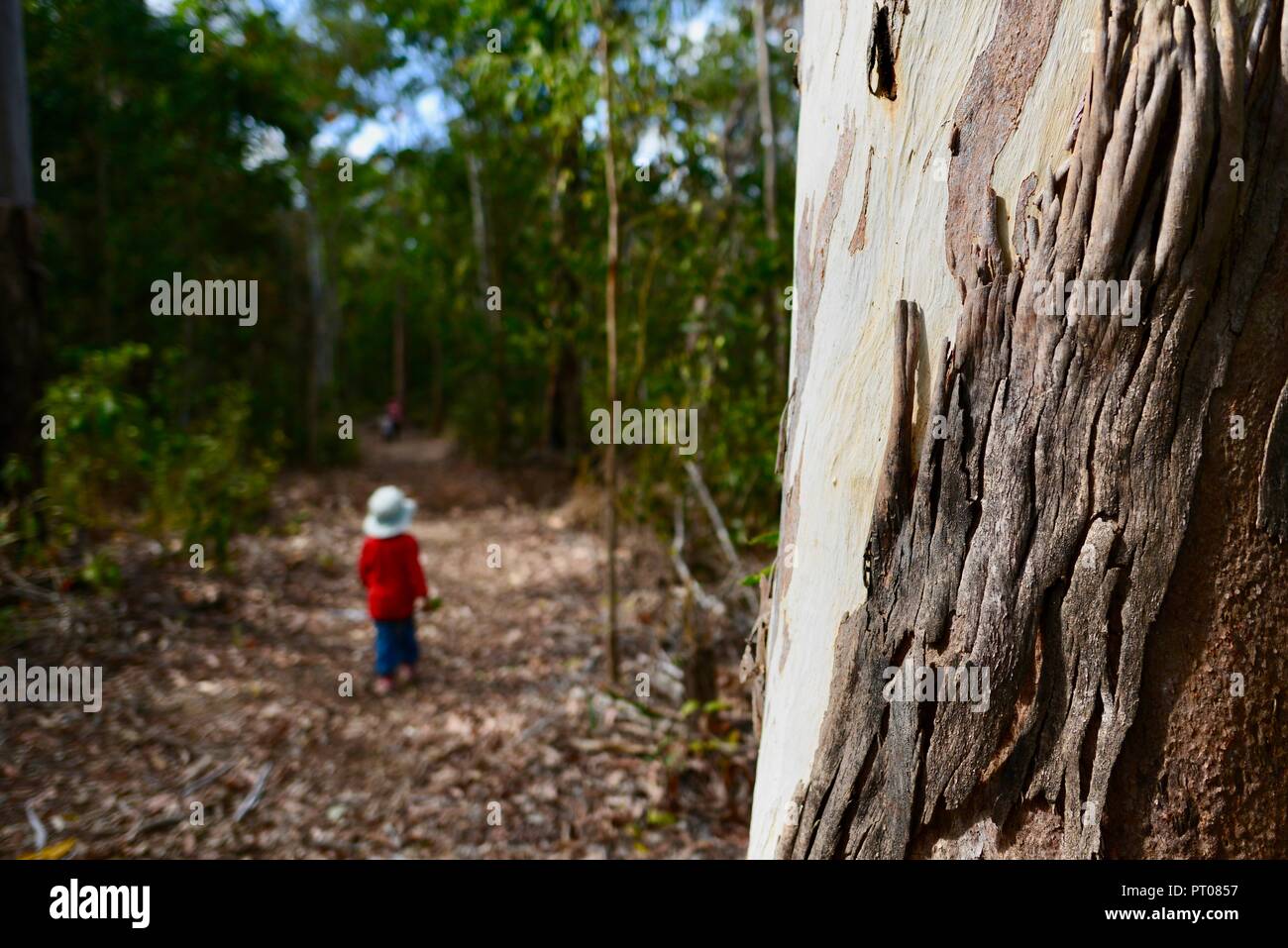 Un giovane bambino rosso da indossare a piedi attraverso una foresta, Dalrymple gap, QLD, Australia Foto Stock