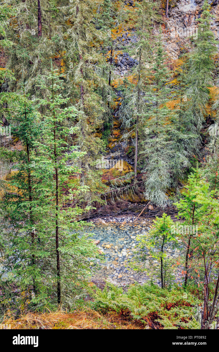 Johnston Canyon, il Parco Nazionale di Banff, Alberta, Canada Foto Stock