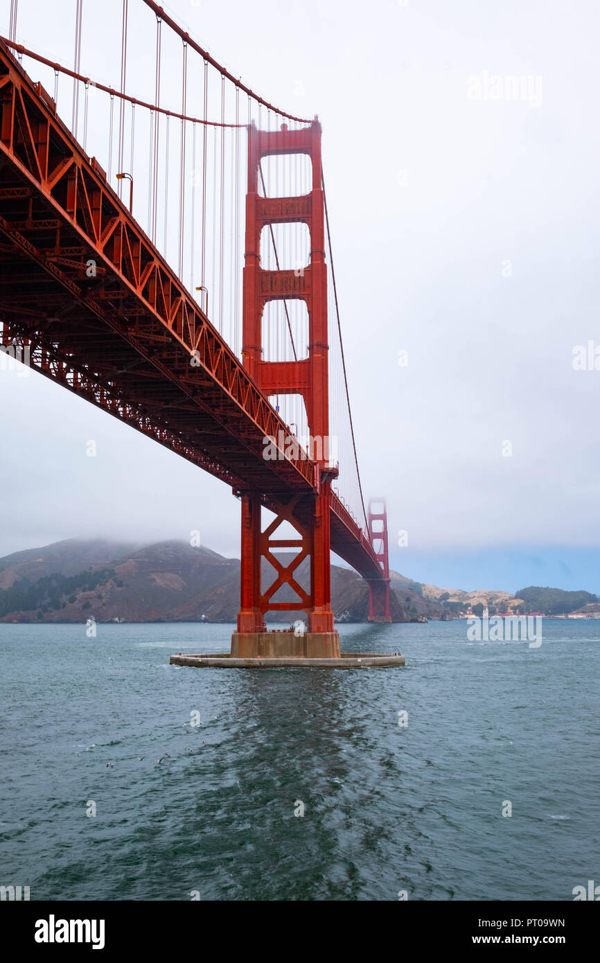 Il Golden Gate Bridge in California, girato da sotto vicino al punto in cui Hitchcock ha girato Kim Novak a Vertigo, in una mattinata misteriosa. Foto Stock