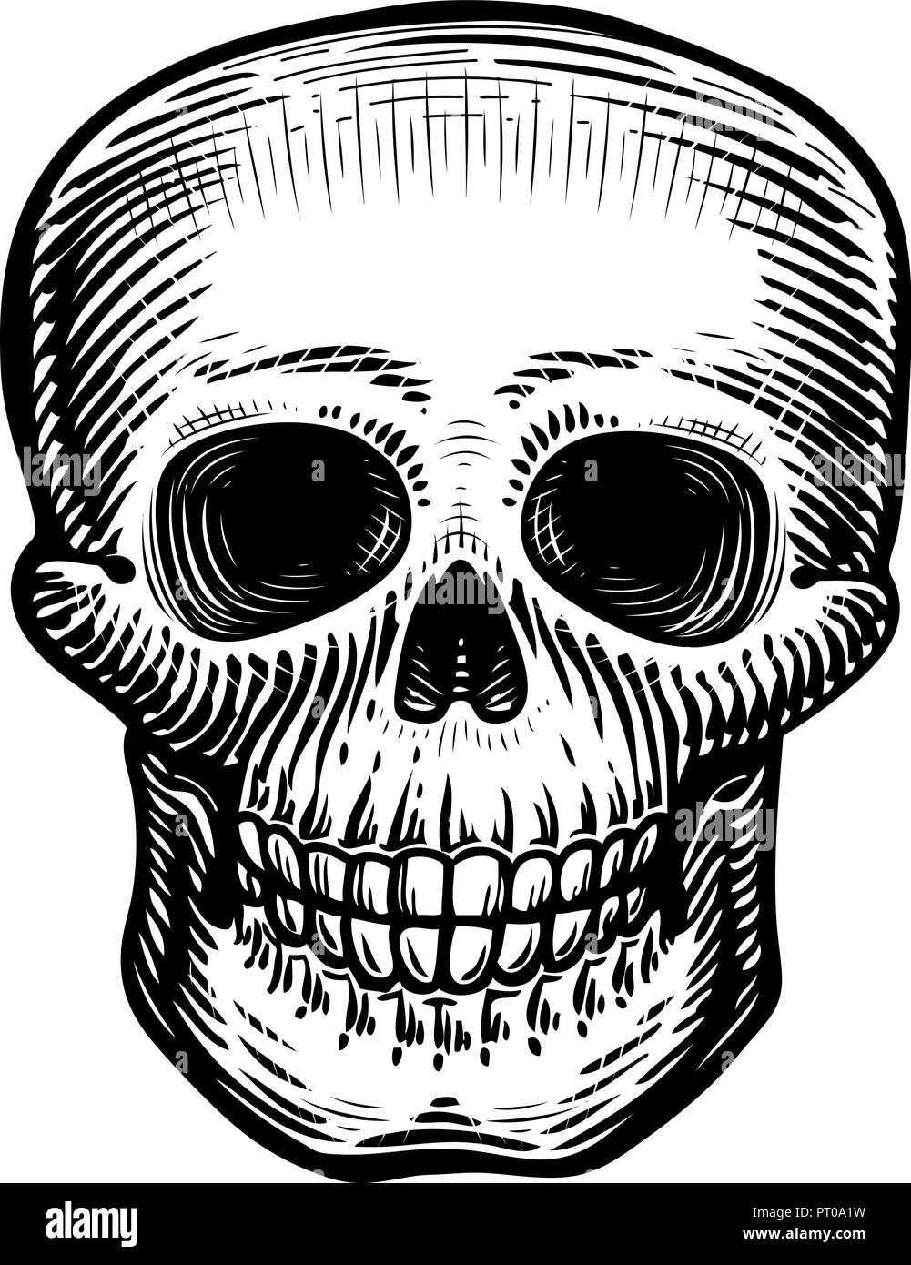 Cranio umano, schizzo. Disegnate a mano scheletro, zombie o morti. Vintage illustrazione vettoriale Illustrazione Vettoriale