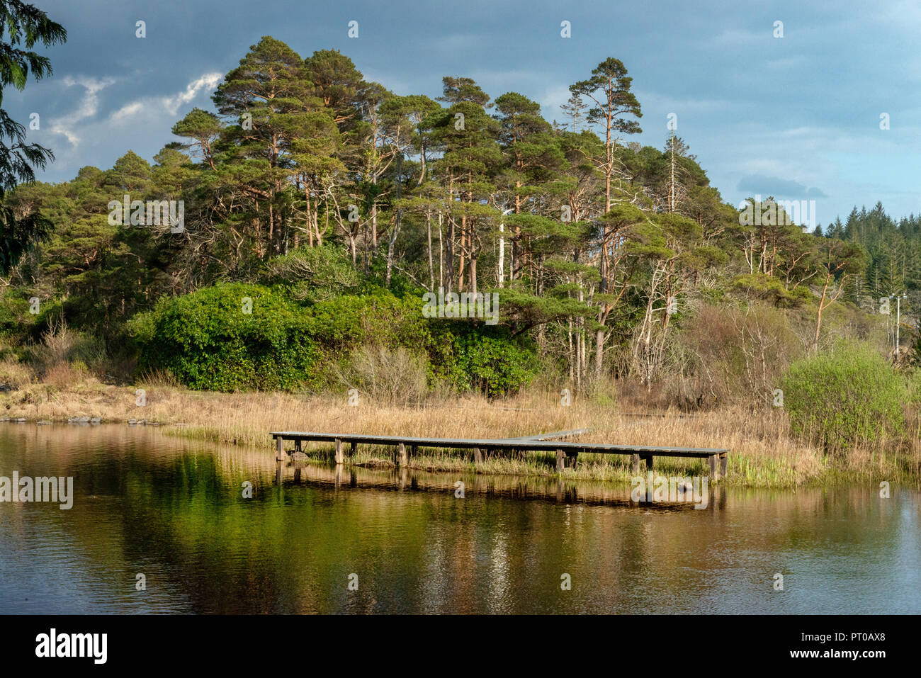 L'Irlanda- Co Galway , Connemara, Ballnahinch, luogo di pesca, Foto Stock