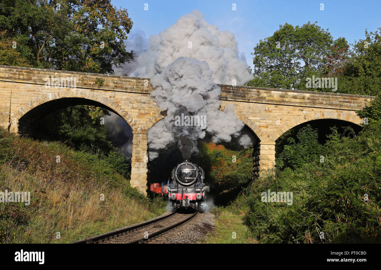 5428 capi passato Darnholme sul NYMR. Foto Stock