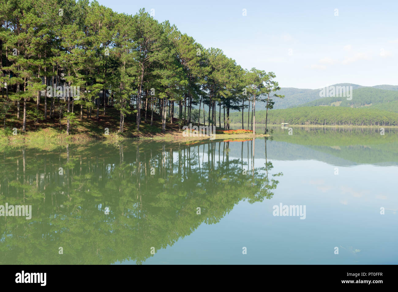Foresta di Pini isola la riflessione sul lago con aria fresca e la natura, versione panorama Foto Stock