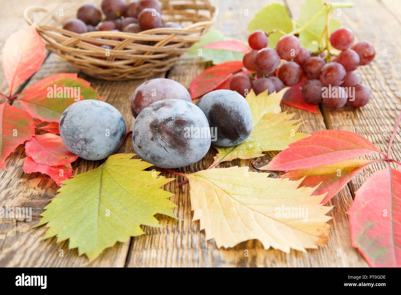 Autunno ancora in vita con prugne, uva e cesto di vimini, verde, giallo e foglie rosse su assi di legno Foto Stock