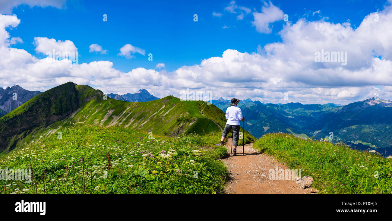 Panoramawanderweg vom Fellhorn, 2038m, zum SÃ¶llereck, 1706m, AllgÃ¤uer Alpen, Bayern, Deutschland, Europa Foto Stock