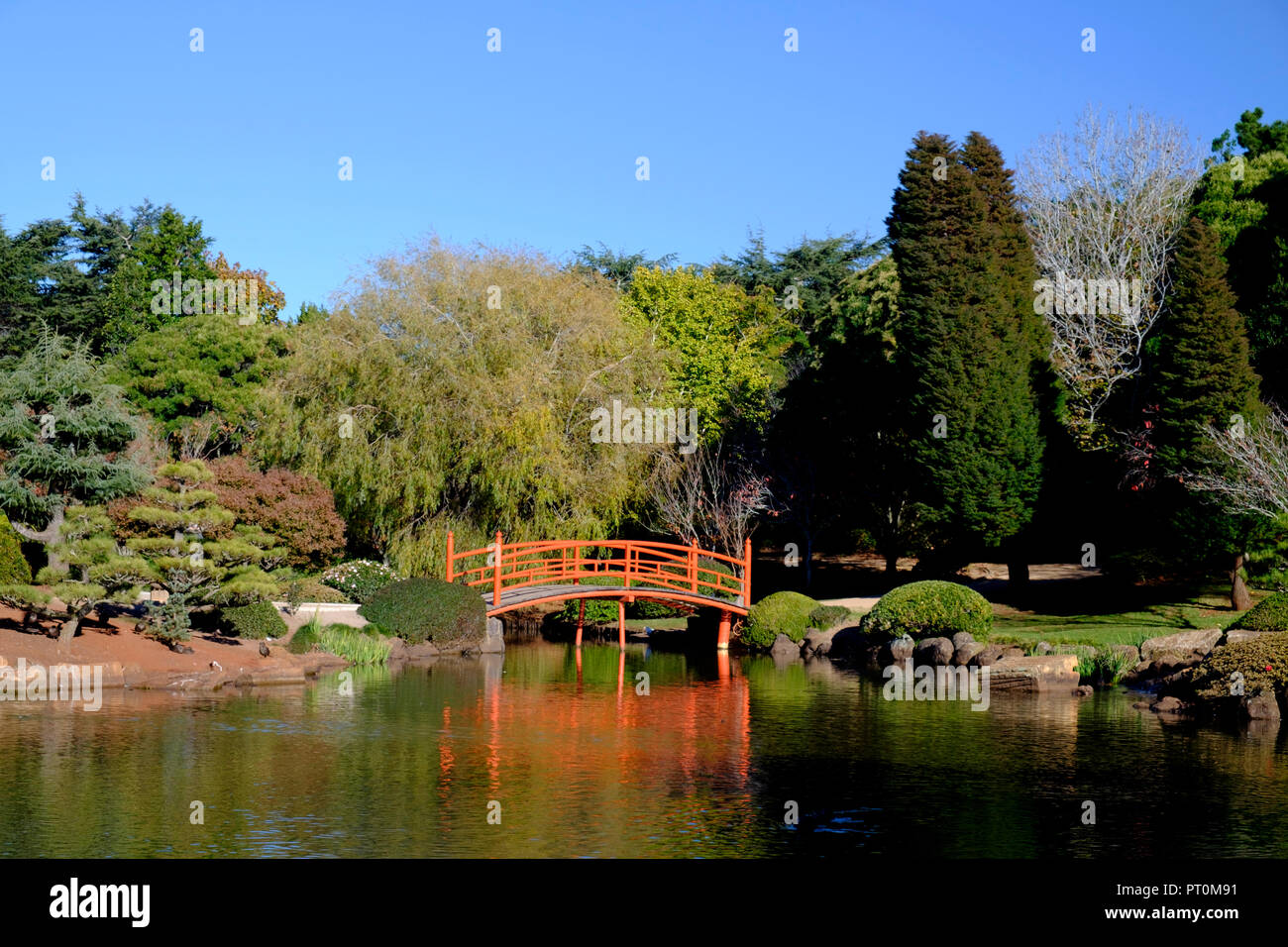 I giardini Giapponesi, Toowoomba Foto Stock