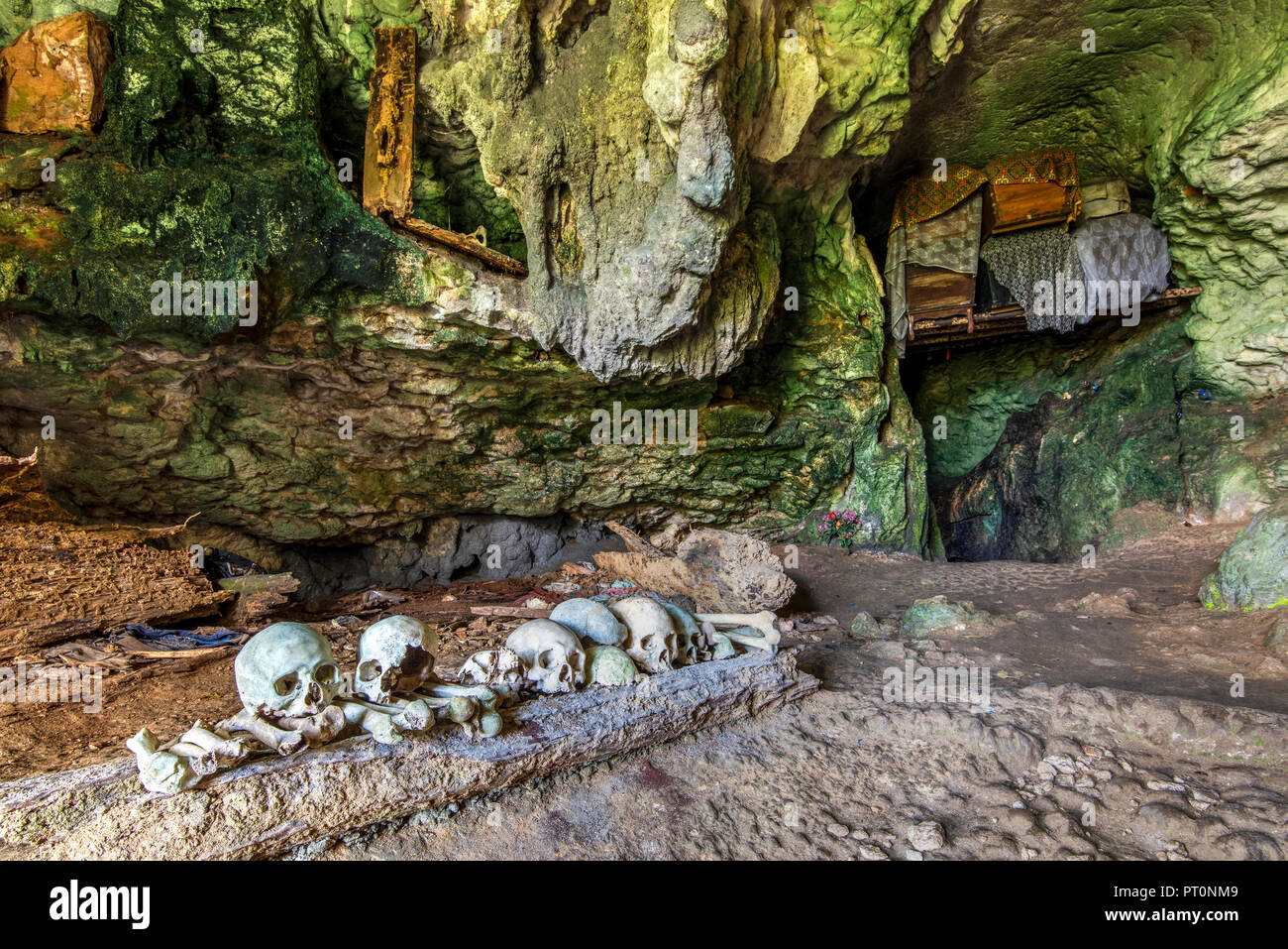 Grotta di sepoltura con teschi e le ossa, Rantepao Tana Toraja, Sulawesi, Indonesia Foto Stock