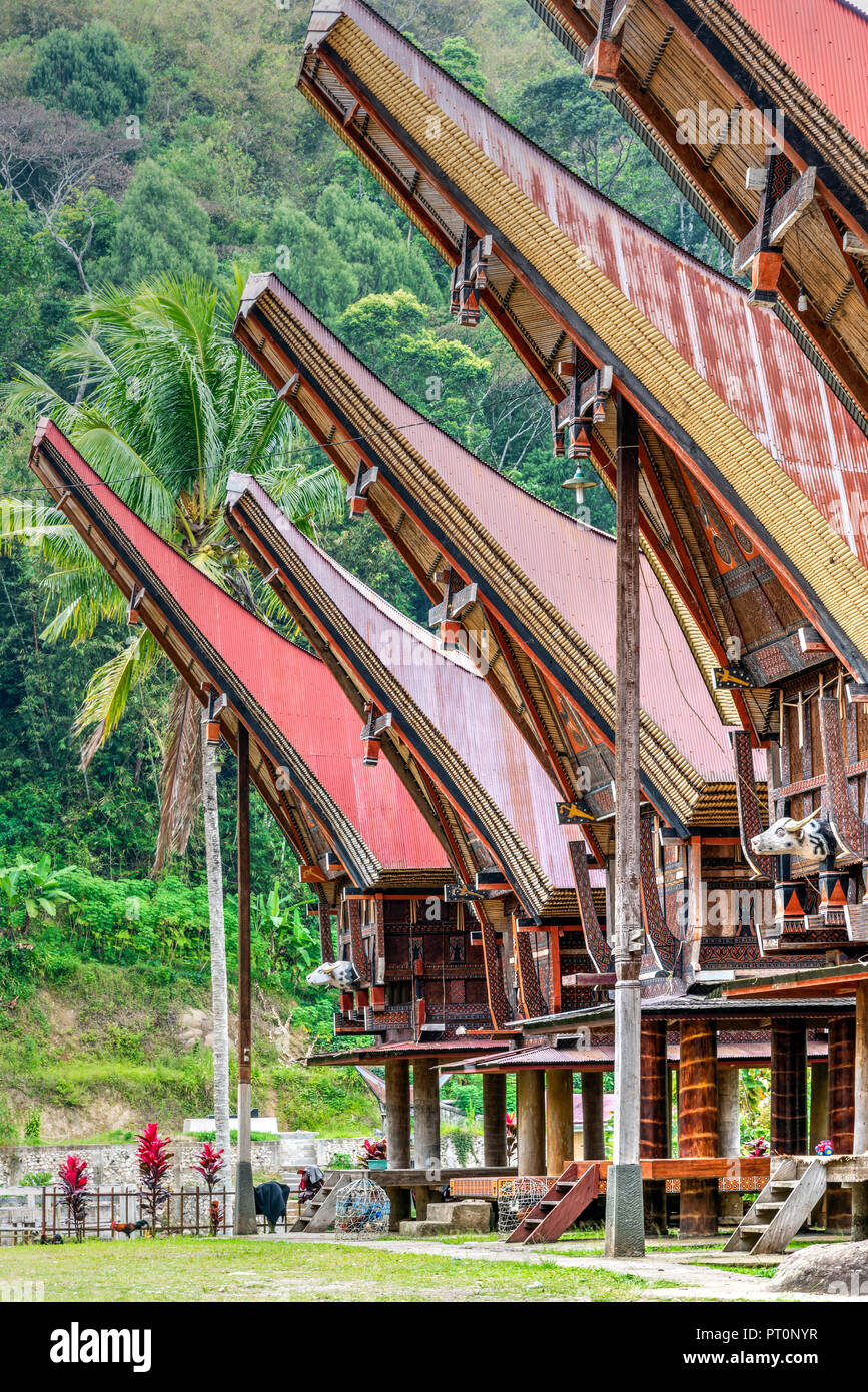 Tradizionale villaggio di Toraja, Rantepao Tana Toraja, Sulawesi, Indonesia Foto Stock