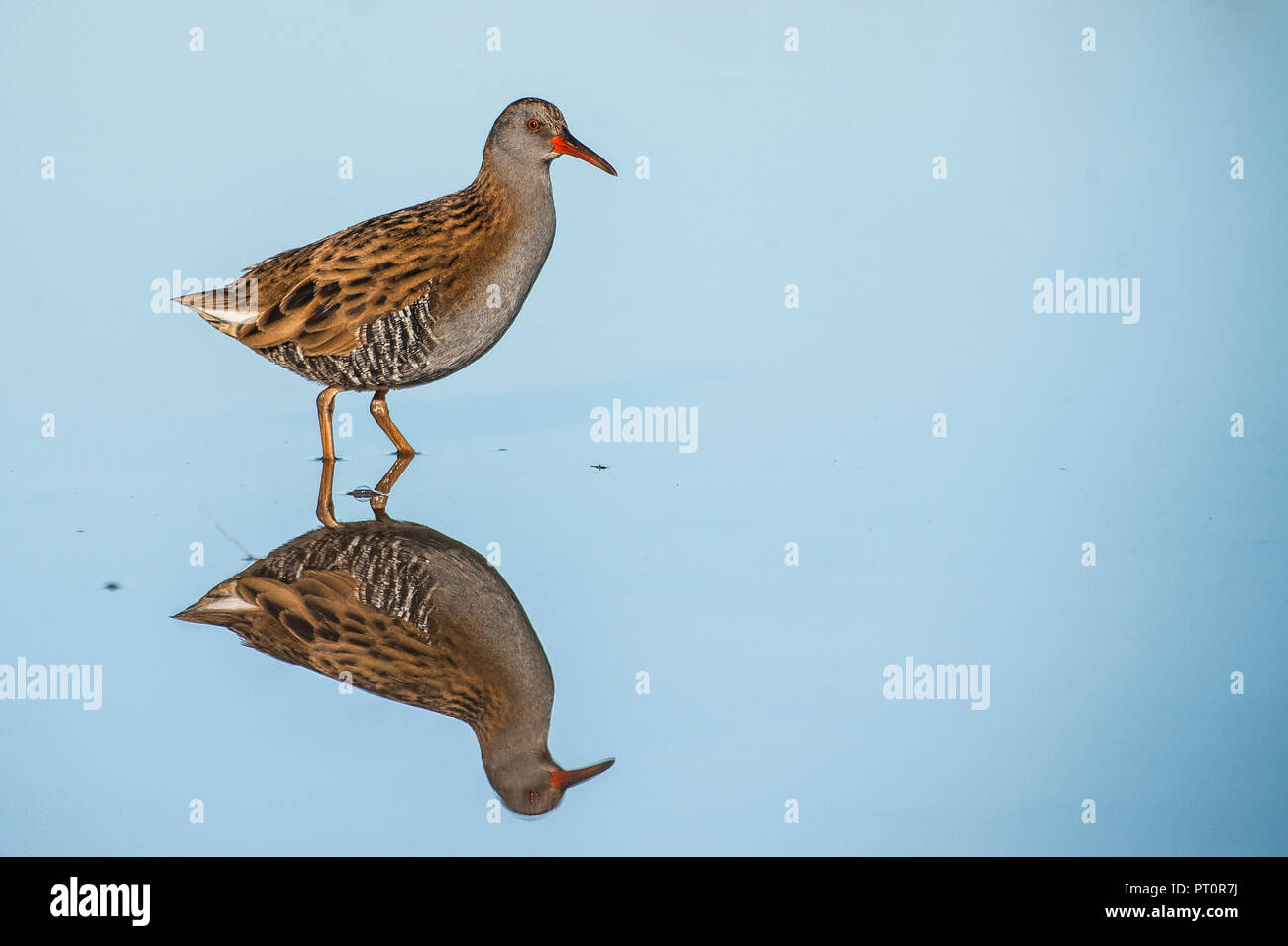 Rampa di acqua con acqua la riflessione Foto Stock