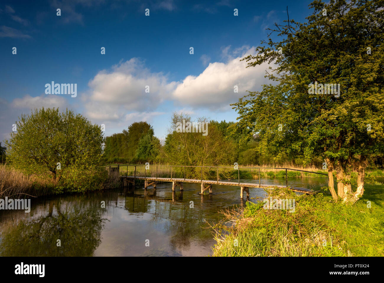 Una pesca alla trota tratto del fiume chalkstream Itchen vicino a Twyford, Hampshire Foto Stock