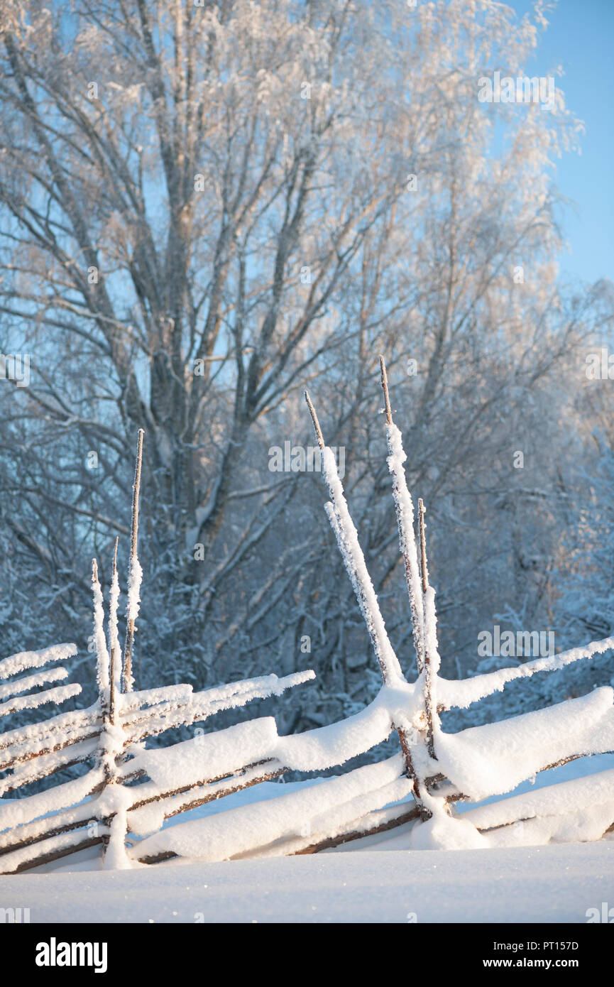 Vecchia staccionata in legno ricoperta di neve. Paesaggio invernale in Finlandia. Foto Stock