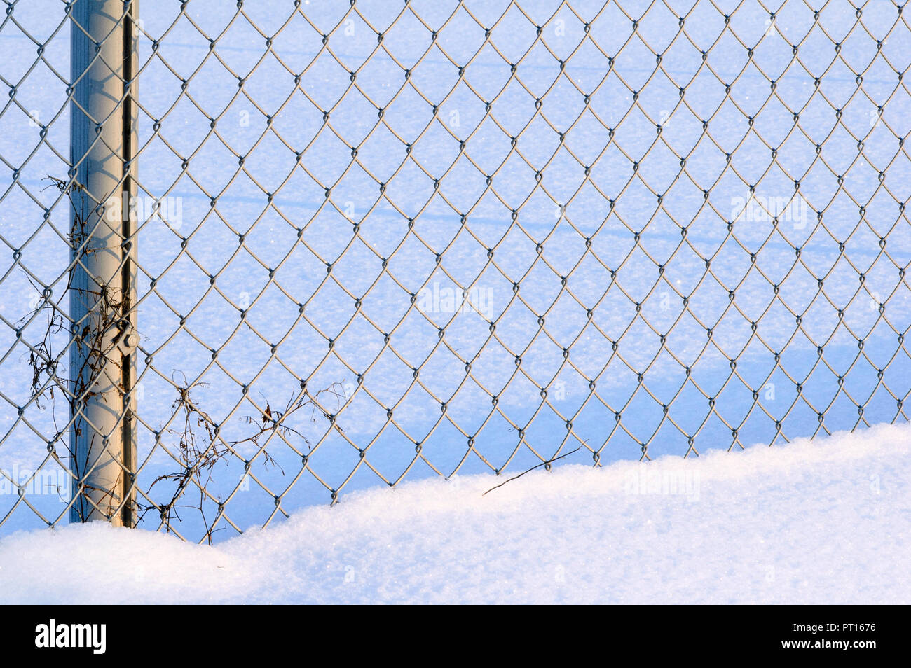 Dettaglio della catena zincata recinzione di collegamento nella neve. Il freddo giorno d'inverno. Foto Stock