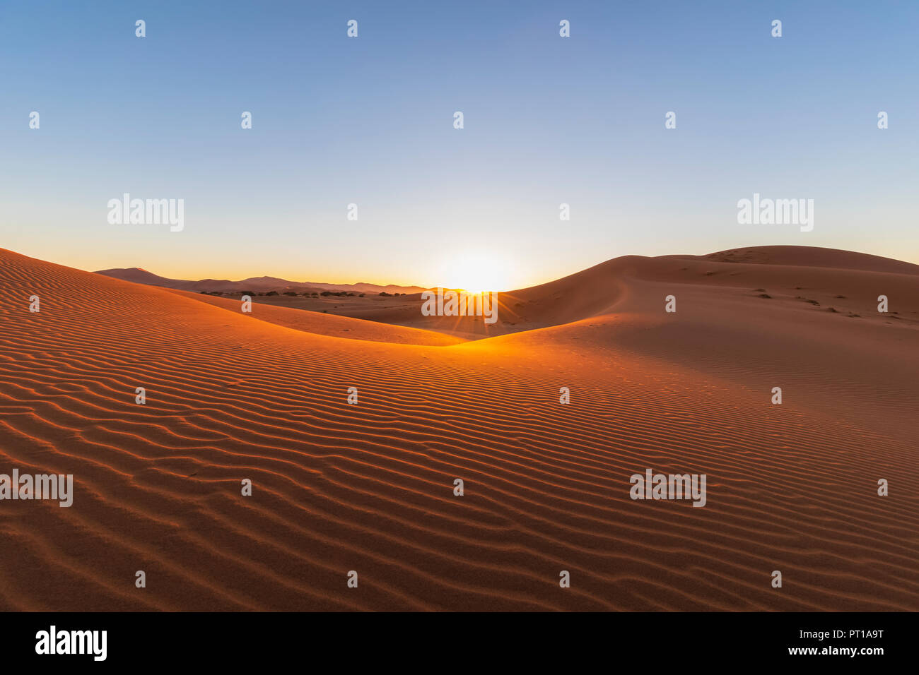 In Africa, la Namibia, il deserto del Namib Naukluft, Parco Nazionale, dune di sabbia contro il sole di mattina Foto Stock