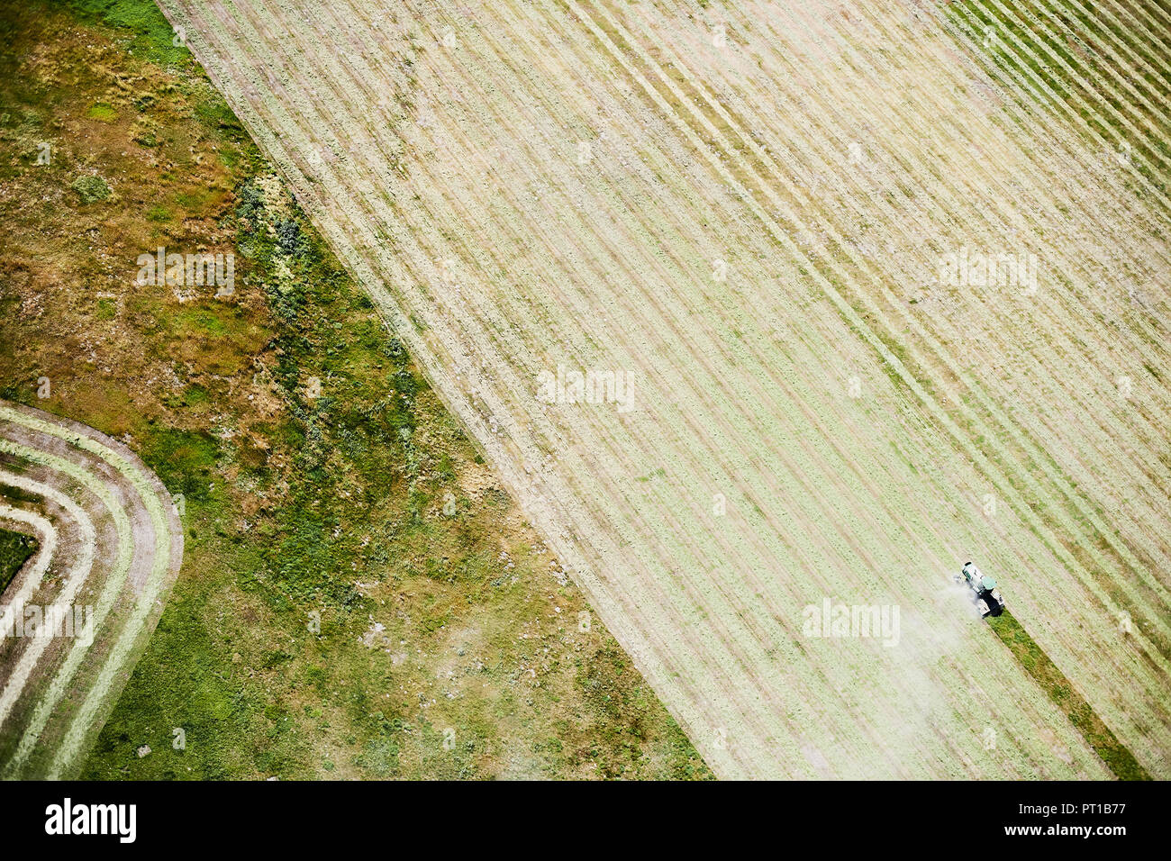 Stati Uniti d'America, allevamento di contorno con il trattore in Colorado orientale Foto Stock