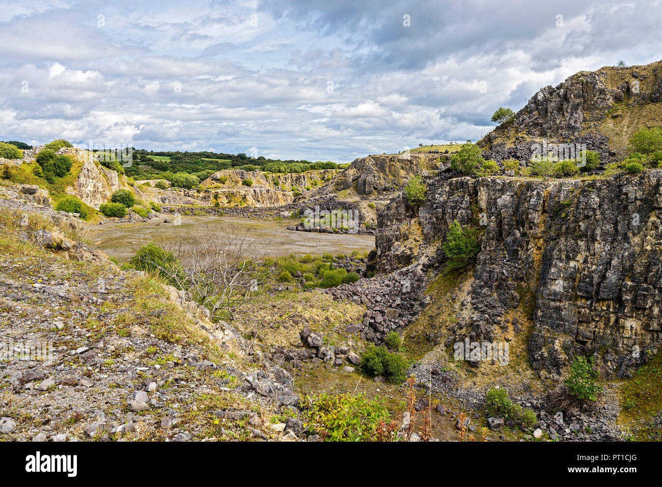 Minera Limeworks in disuso cava di calcare ora un North Wales Wildlife Trust riserva vicino Minera a ovest di Wrexham North Wales UK Agosto 0131 Foto Stock