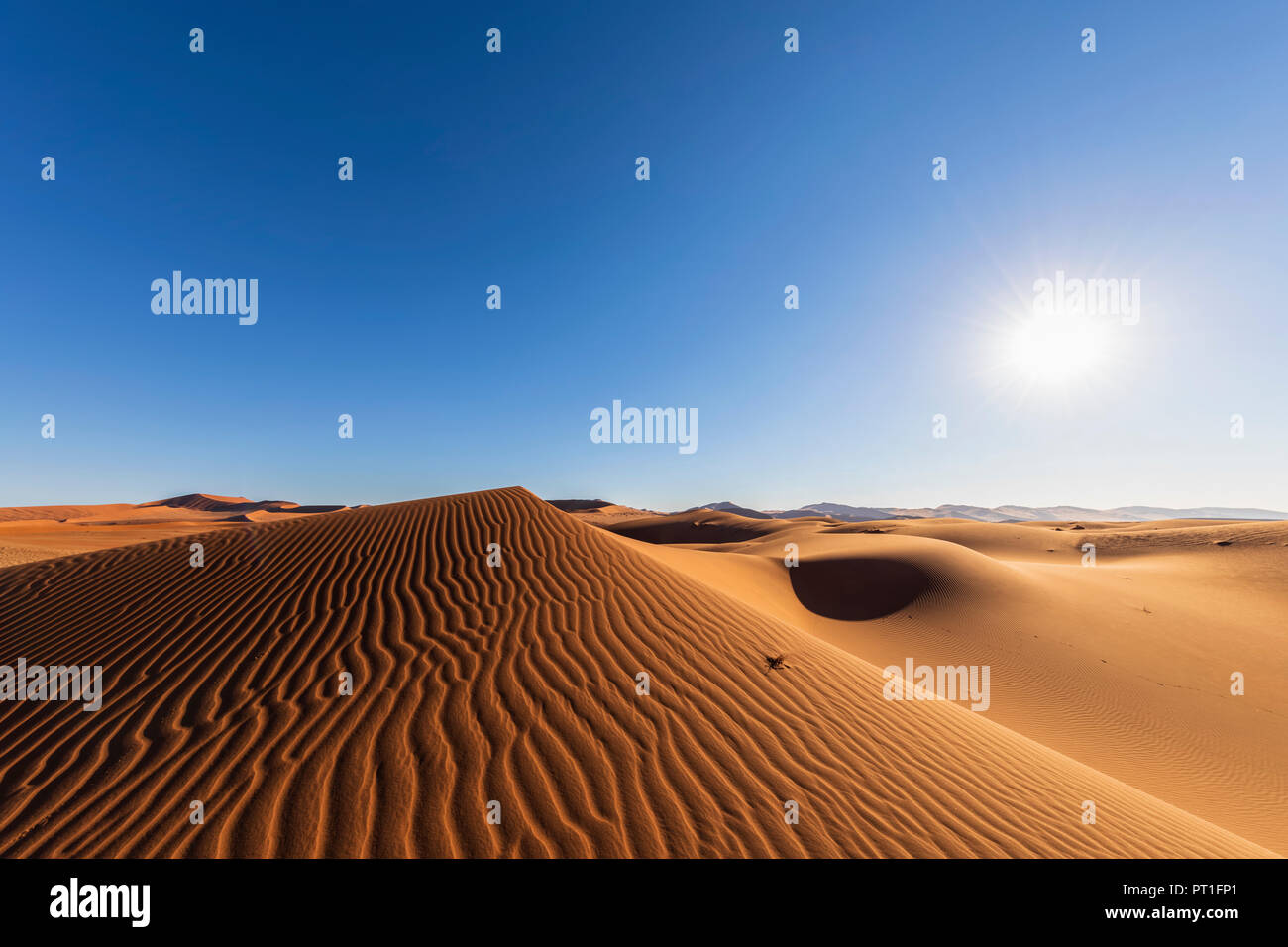 In Africa, la Namibia, il deserto del Namib Naukluft, Parco Nazionale, dune di sabbia contro il sole Foto Stock