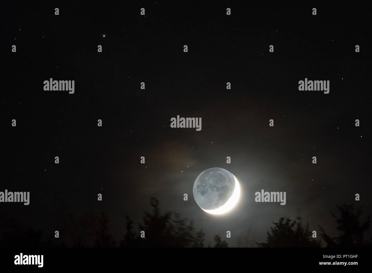 Germania, Hesse, Hochtaunuskreis, luna con luce grigia che si eleva al di sopra di alberi con stelle in background Foto Stock