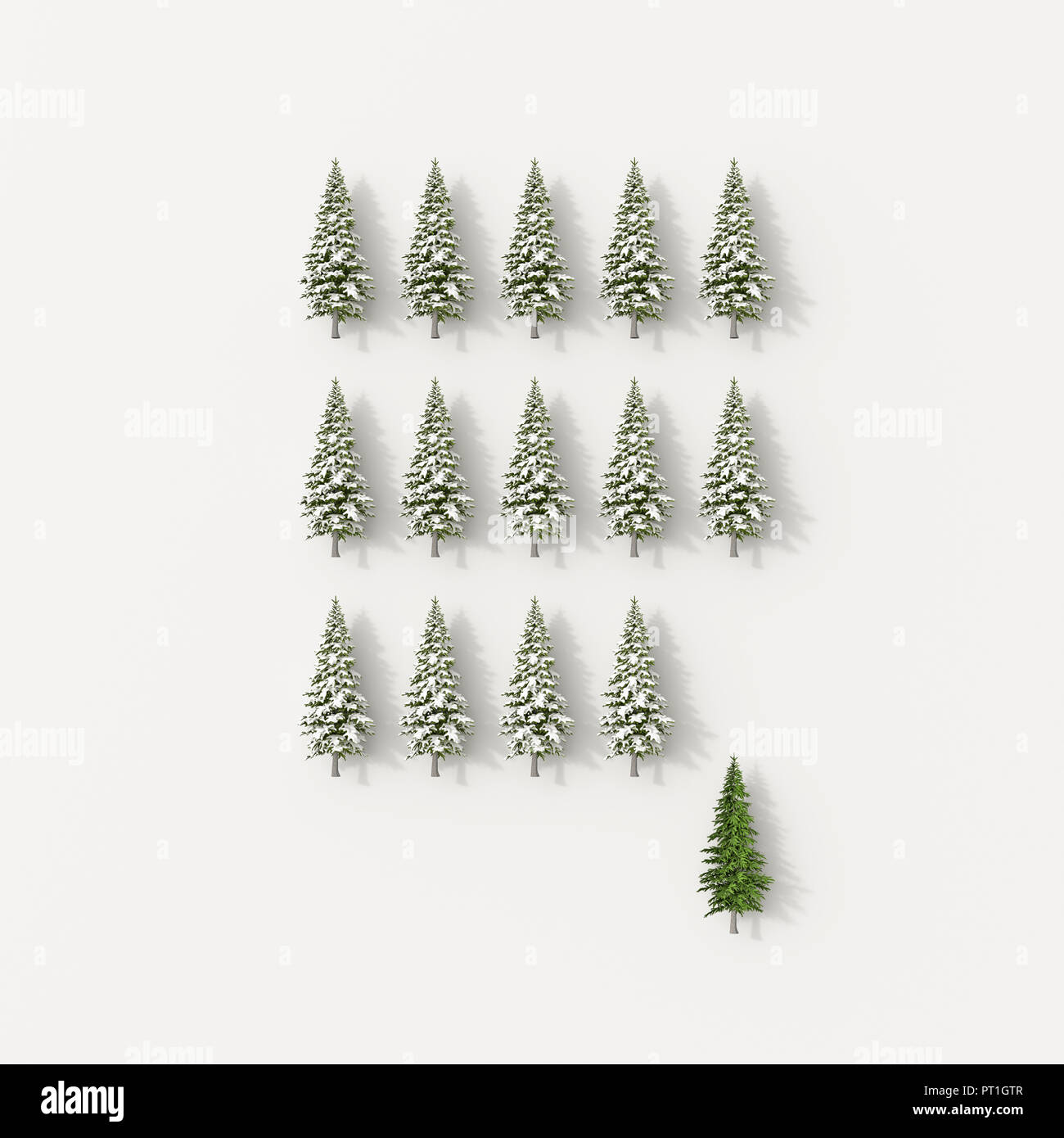 3D rendering, filari di alberi di abete, su sfondo bianco con uno verde uno, in piedi fuori Foto Stock