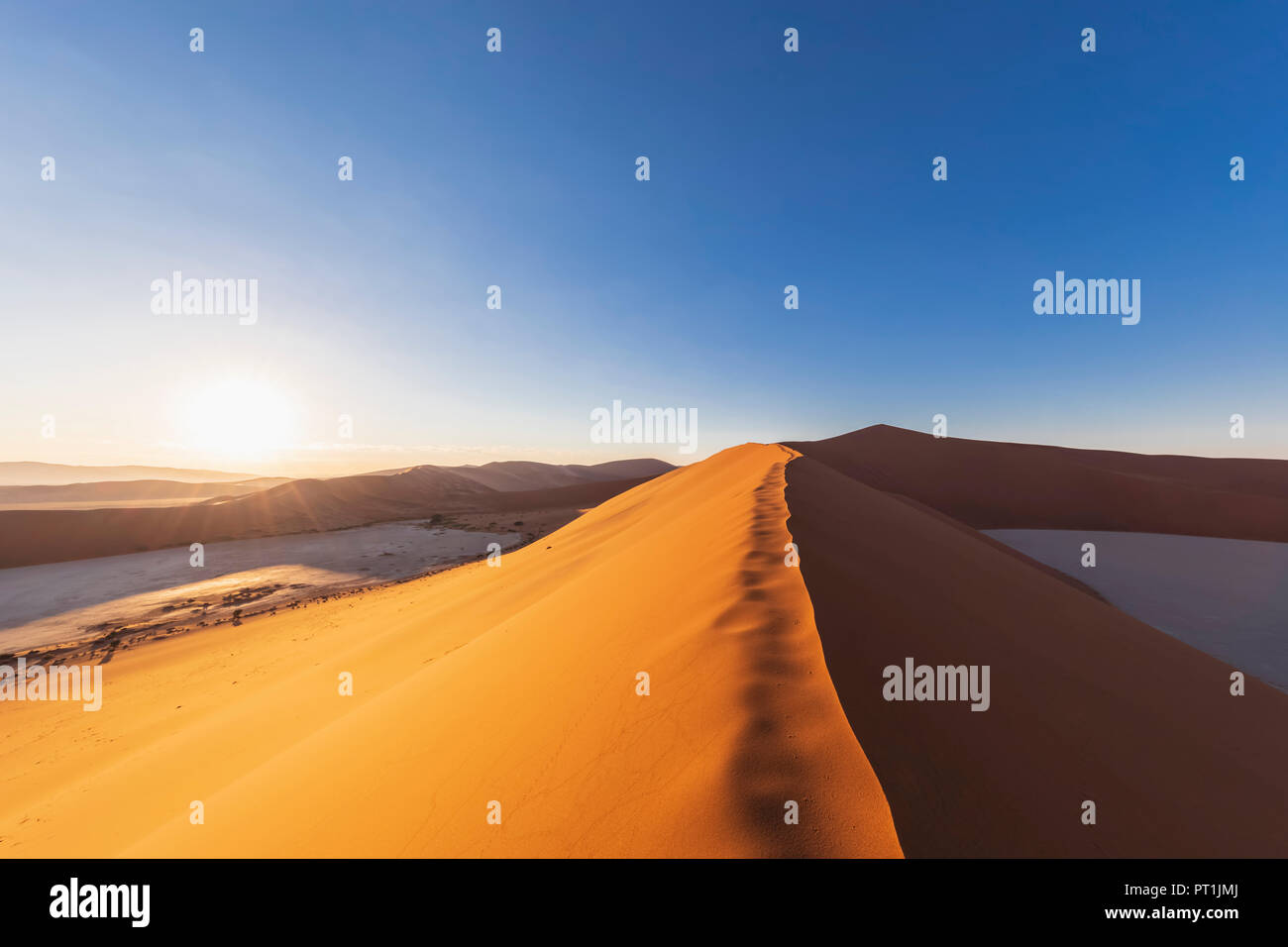 In Africa, la Namibia, il deserto del Namib Naukluft, Parco Nazionale, dune di sabbia "Big Daddy' Foto Stock