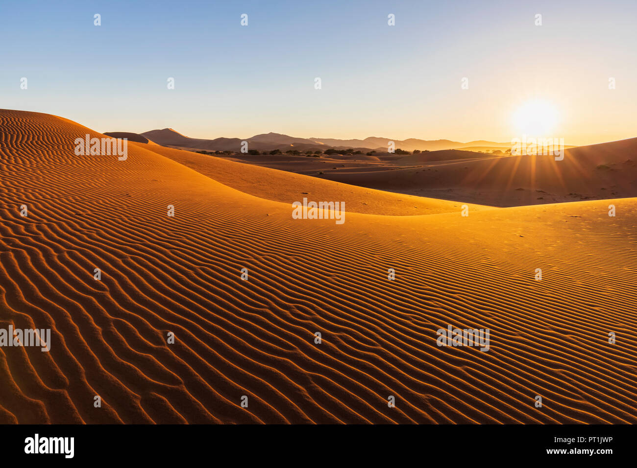 In Africa, la Namibia, il deserto del Namib Naukluft, Parco Nazionale, dune di sabbia nella luce del mattino contro il sole di mattina Foto Stock