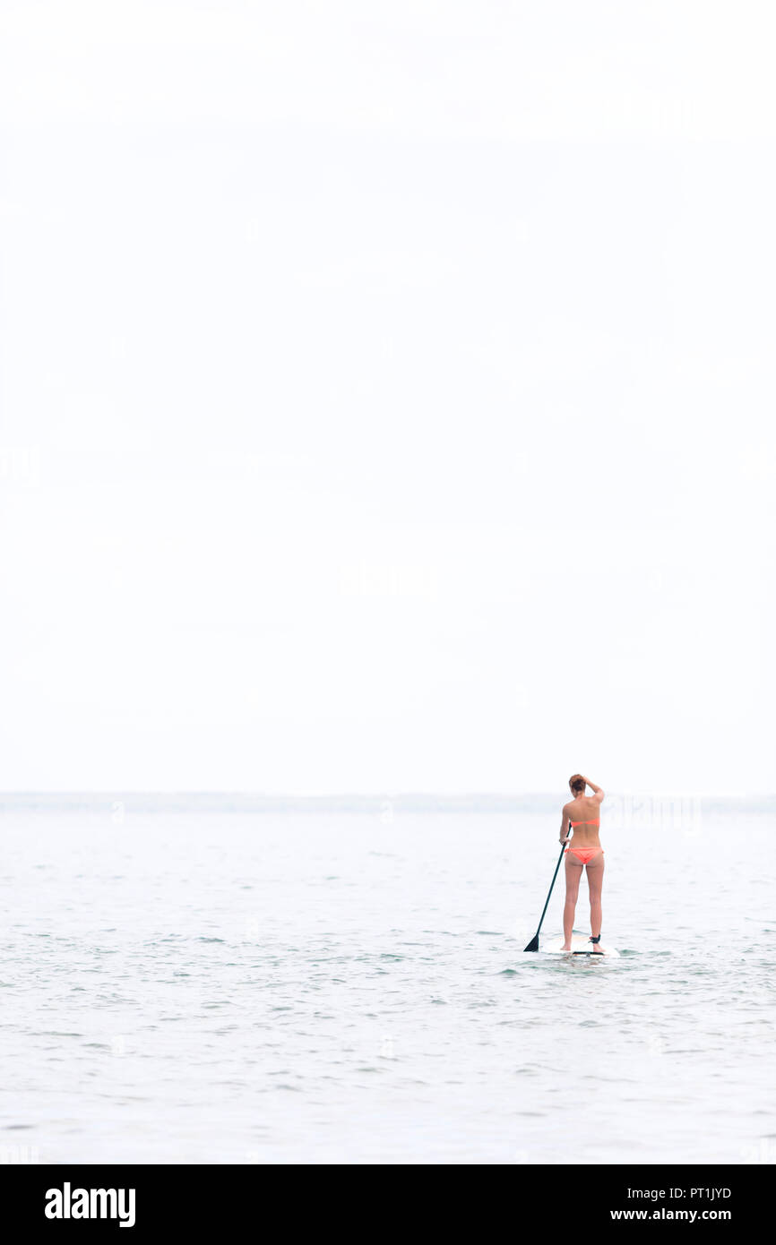 Maurizio, giovane donna in stand up paddling board Foto Stock