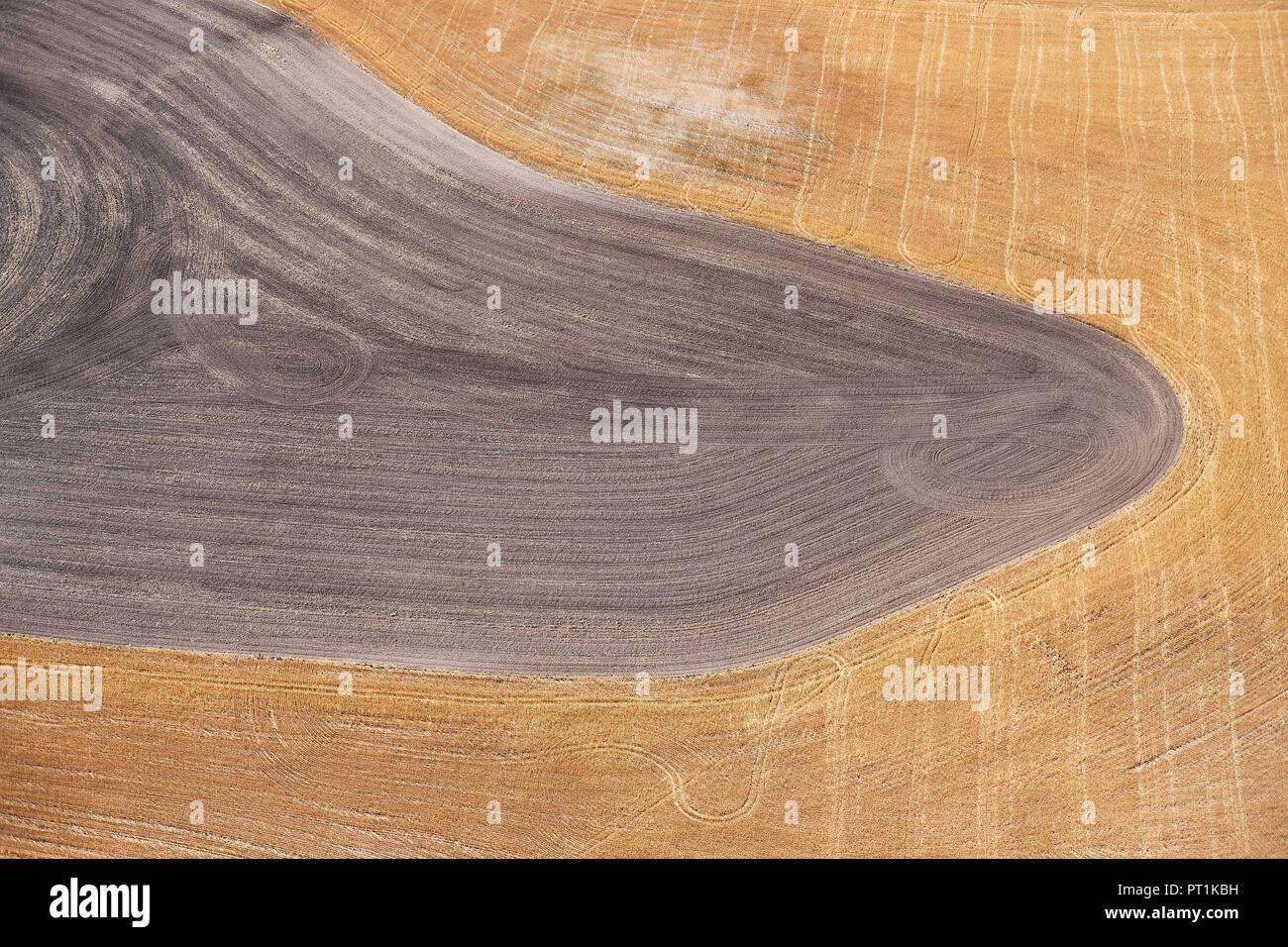 Stati Uniti d'America, fotografia aerea di allevamento di contorno dopo il raccolto in Western Nebraska Foto Stock