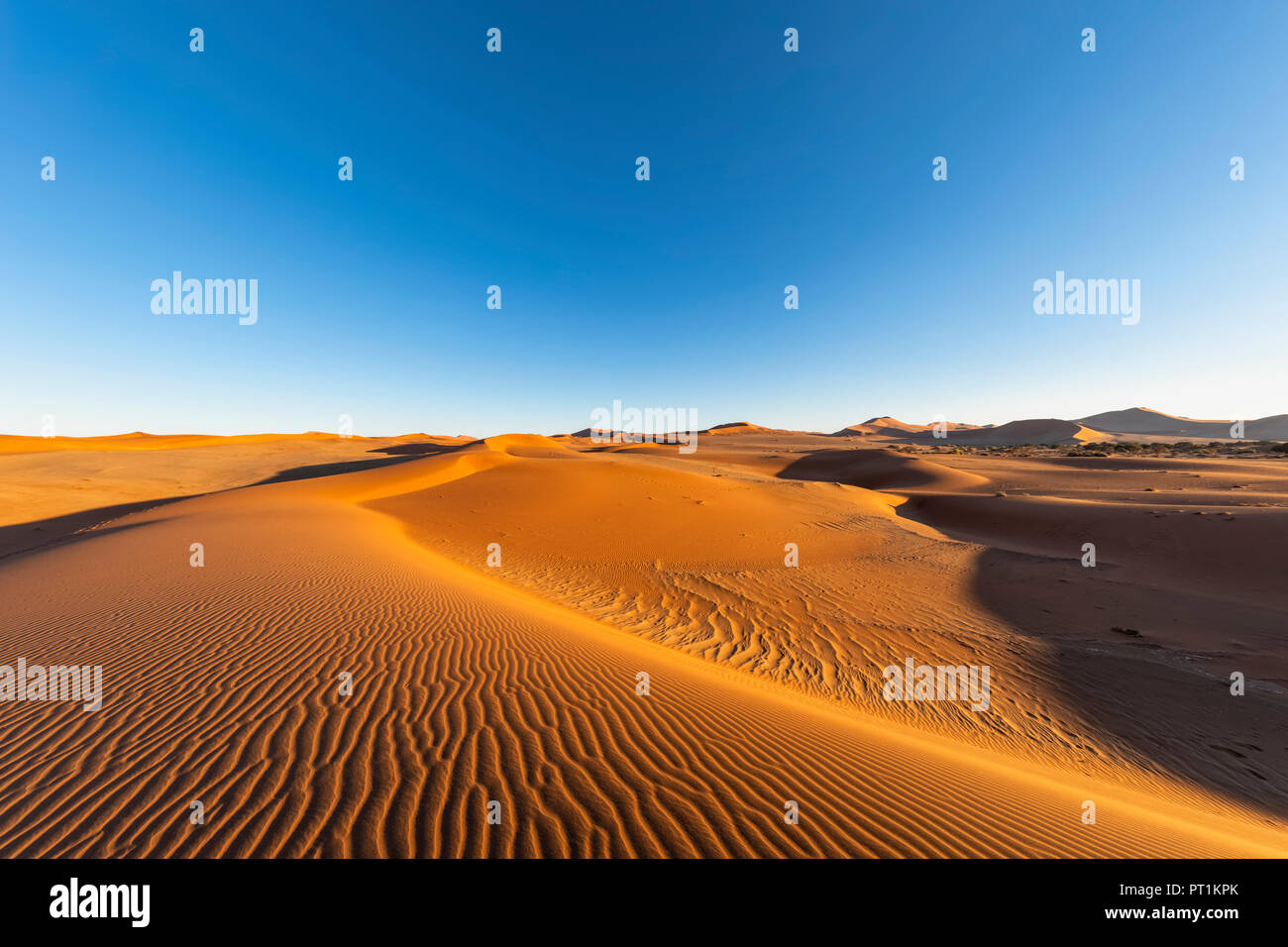 In Africa, la Namibia, il deserto del Namib Naukluft, parco nazionale, le dune di sabbia Foto Stock