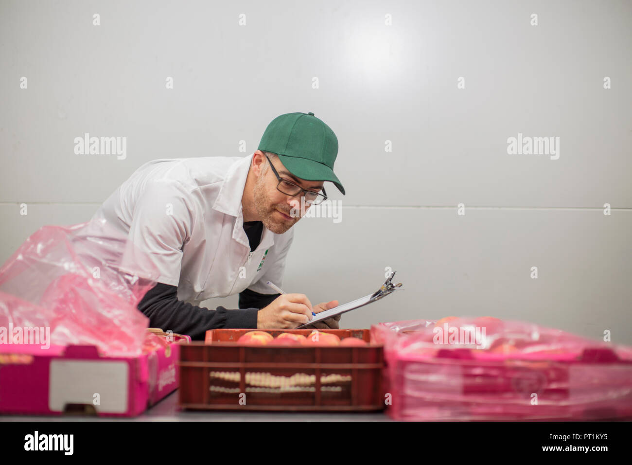 Lavoratore tenendo scorte di mele Foto Stock