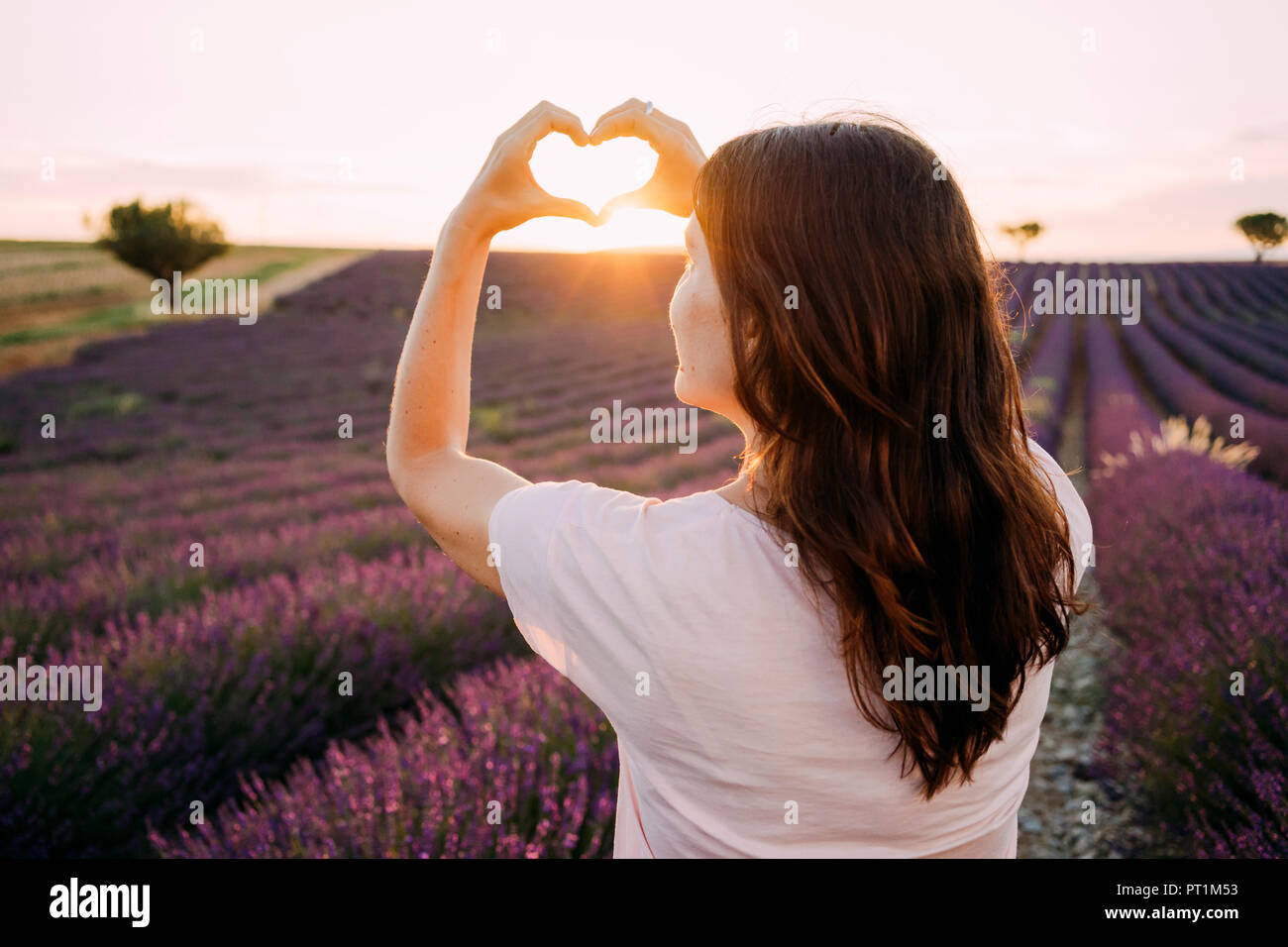 Francia, Valensole, vista posteriore della donna cuore di sagomatura con le sue mani nella parte anteriore del campo di lavanda al tramonto Foto Stock