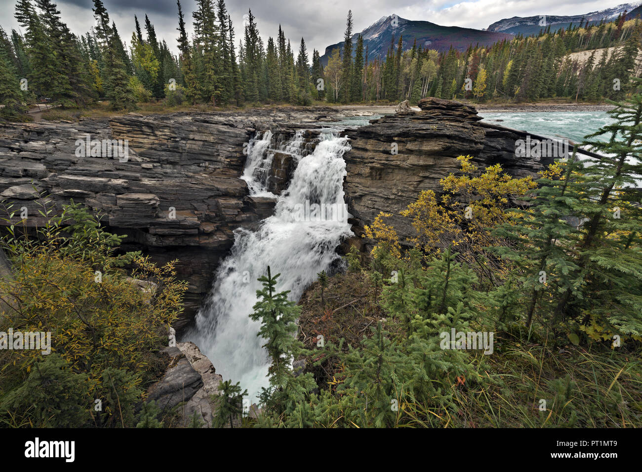 Cascate Athabasca, Jasper NP, Alberta, Canada Foto Stock