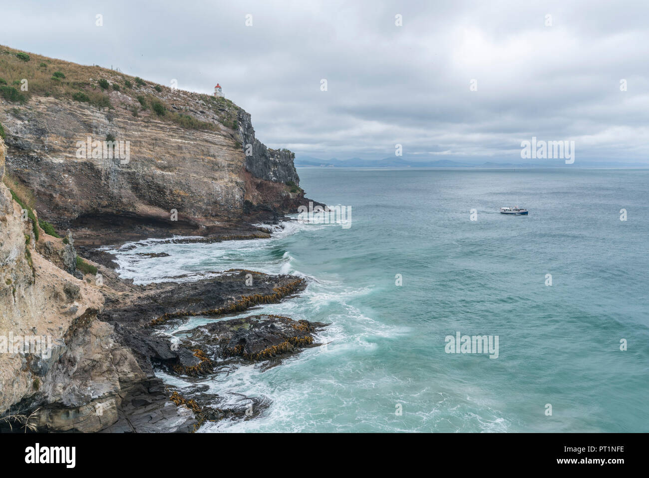 Faro di Taiaroa Head da Waiwhakaheke pinguini Lookout, Harington Point, penisola di Otago, regione di Otago, South Island, in Nuova Zelanda, Foto Stock