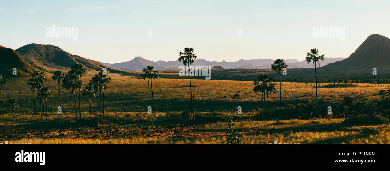 Il Brasile, Alto Paraiso de Goias, paesaggio all'alba Foto Stock