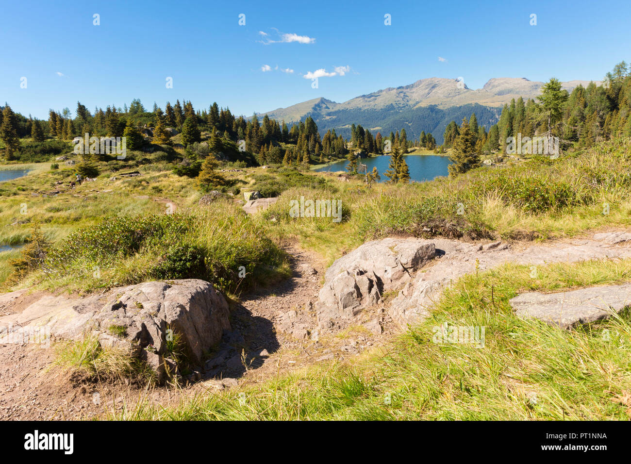 Sul percorso verso i laghi di Colbricon, Passo Rolle, provincia di Trento, Trentino Alto Adige, Italia Foto Stock