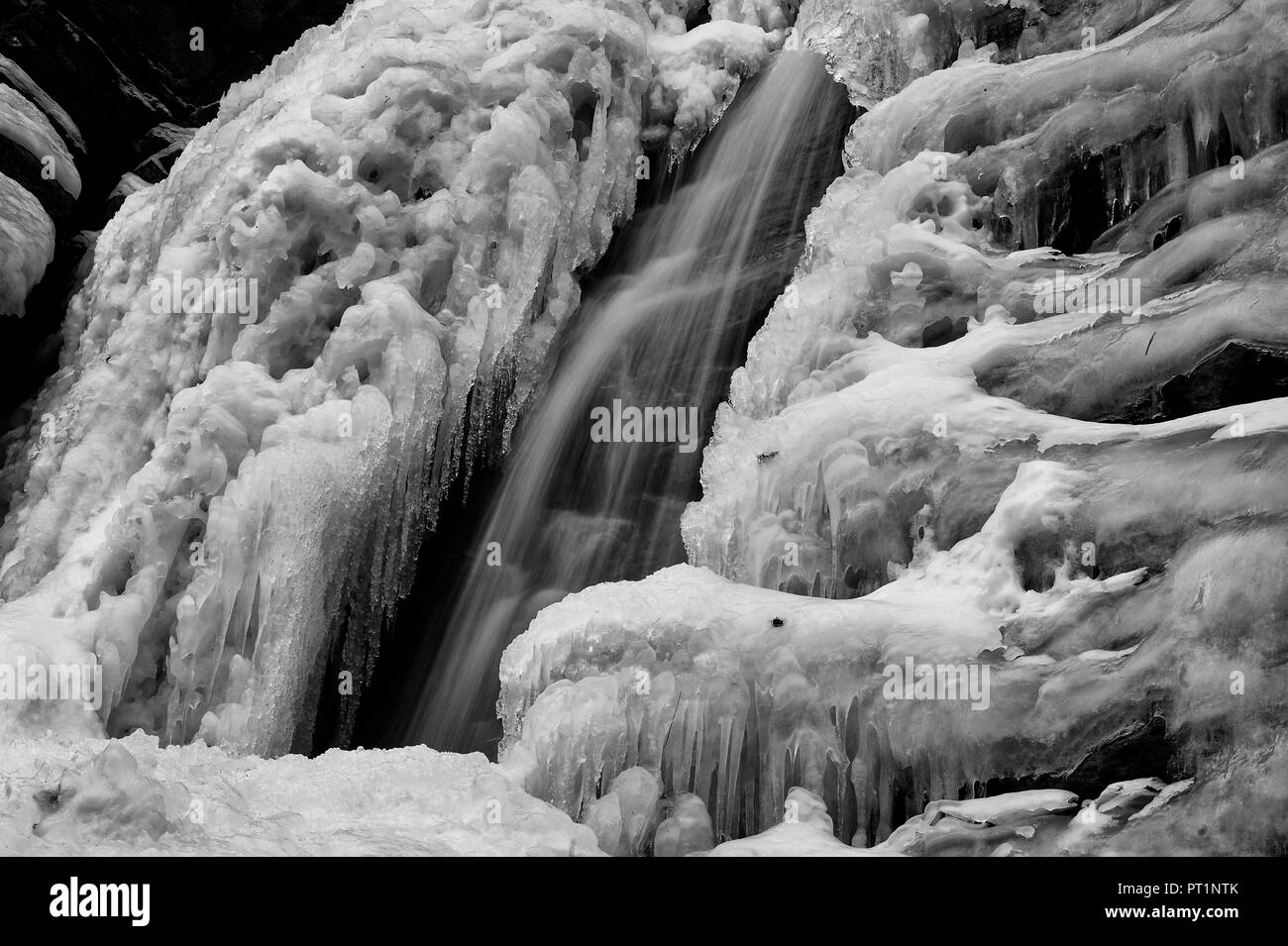 La Val Pellice, provincia di Torino, Piemonte, Italia, ghiaccio sul Pis cascata Foto Stock