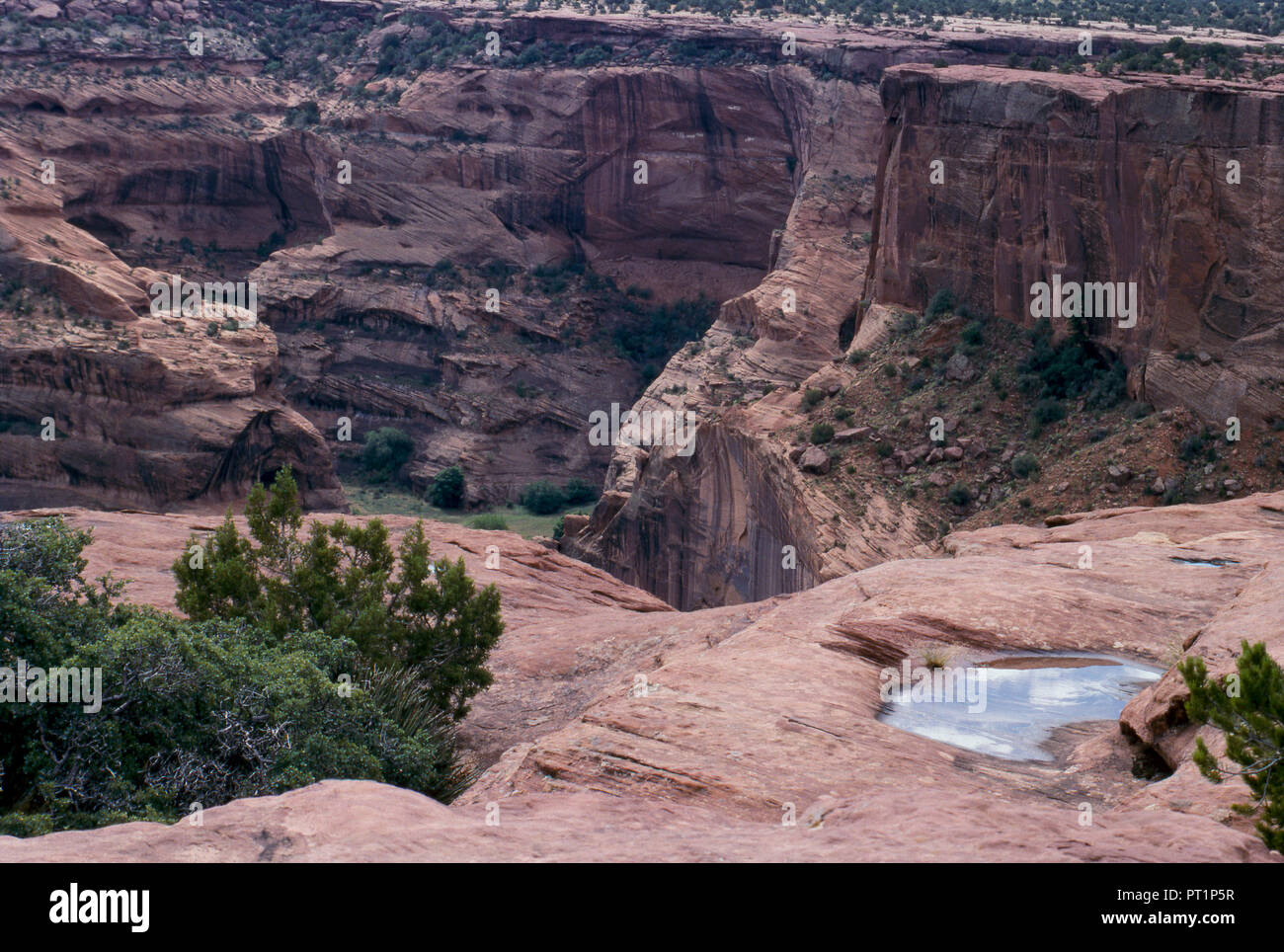 Acqua piovana nelle piscine di arenaria, Canyon De Chelly, Arizona. Fotografia Foto Stock