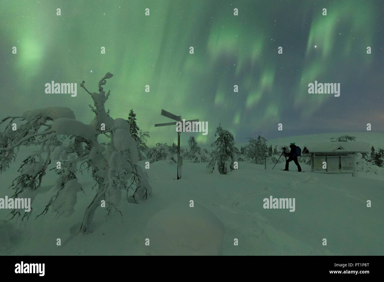 Fotografo in boschi innevati durante la Northern Lights Pallas-Yllastunturi National Park, Muonio, Lapponia, Finlandia Foto Stock