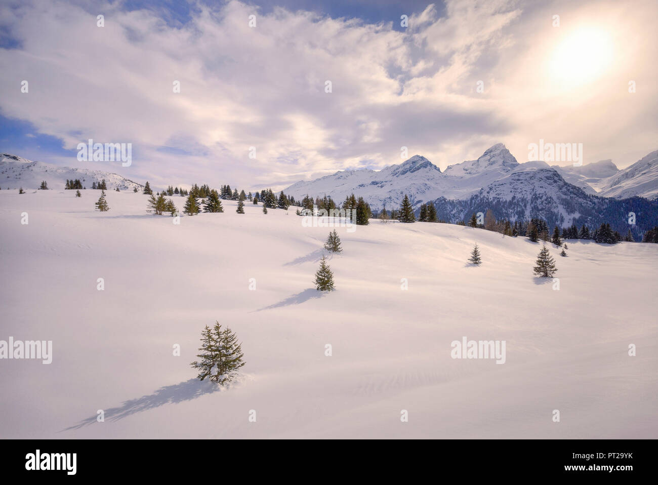 Una luce calda sulla neve fresca a Alp Flix, Sur, Surses, Parc Ela, Regione di Albula, nel Canton Grigioni, Svizzera, Europa Foto Stock