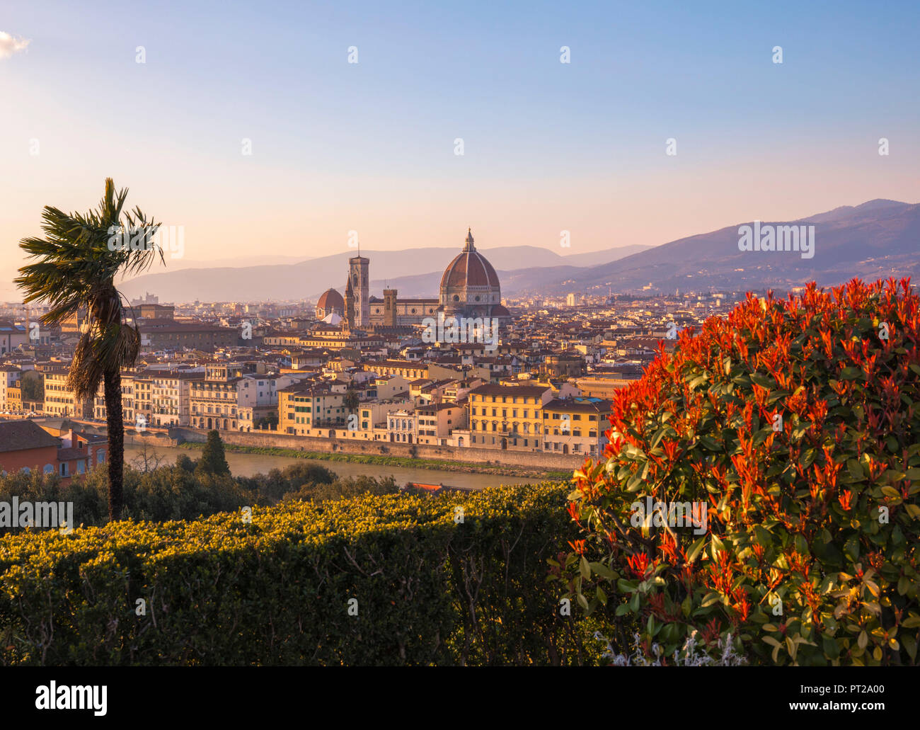 Alta vista di Firenze, con il Duomo e il Palazzo della Signoria di Firenze, Toscana, Italia Foto Stock