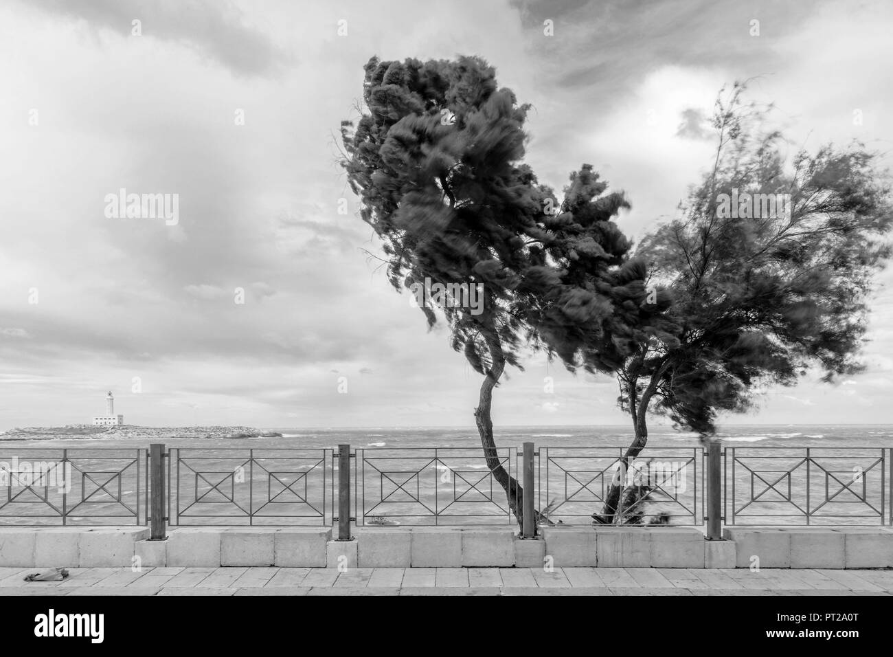 Una giornata di vento a Vieste, provincia di Foggia, Puglia, Italia, Europa Foto Stock