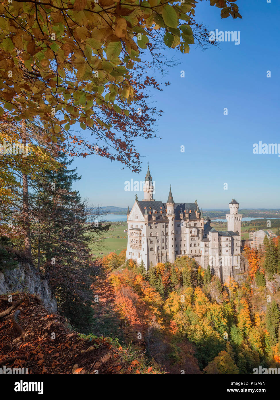 Il Castello di Neuschwanstein, Schwangau, Ostallgäu, Schwaben, Baviera, Germania Foto Stock